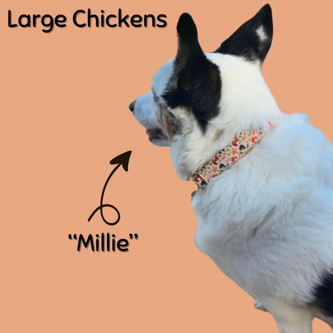 Boop Town Premium Soft Cotton Dog Collar - Anti-Hair Matting with Durable Nylon Core - Quick Release Metal Buckle - Adjustable for XS to XL Dogs