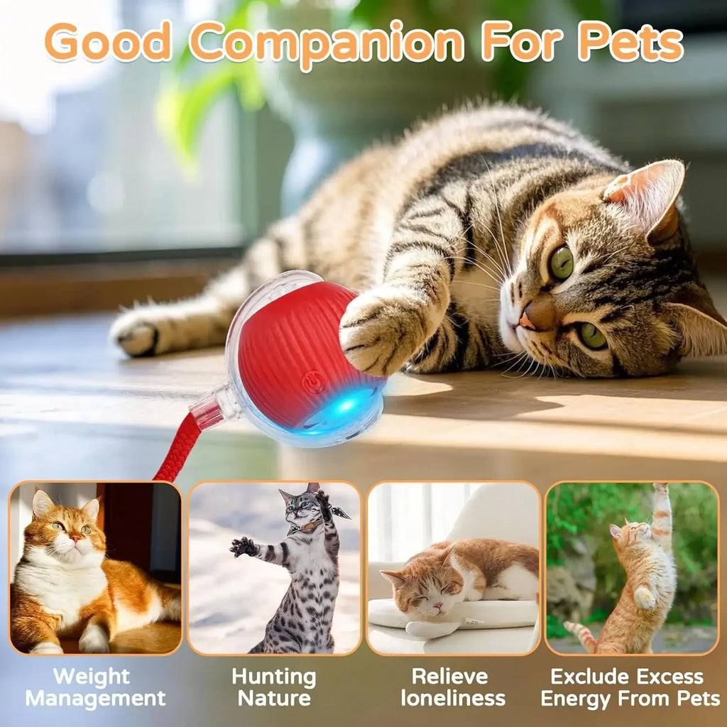 WiggleWag - Smart Interactive Pet Ball with Tail
