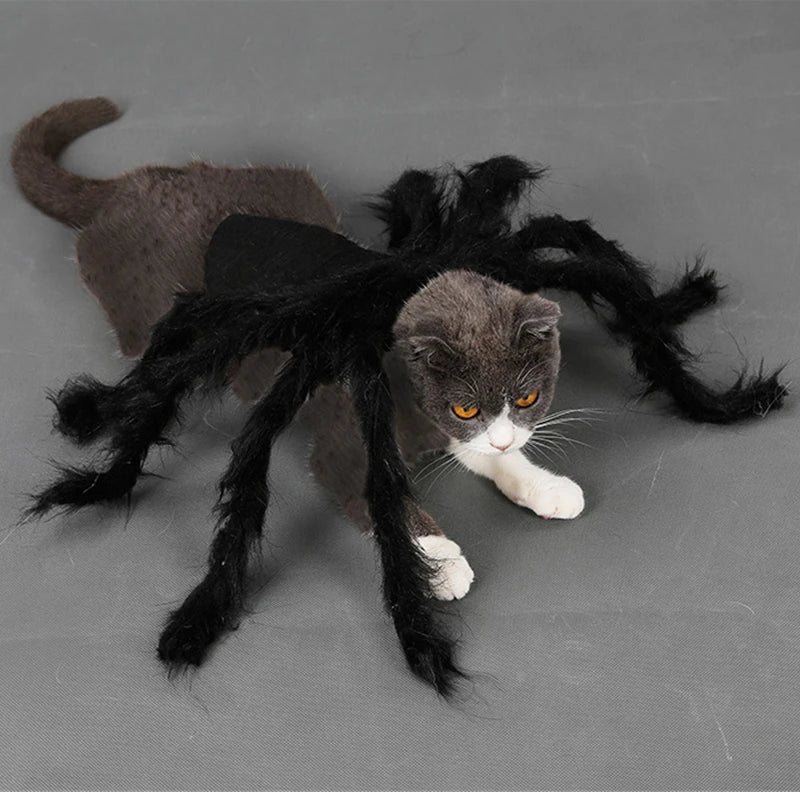 The Giant Creepy Spider - Funny Pet Cosplay Costume