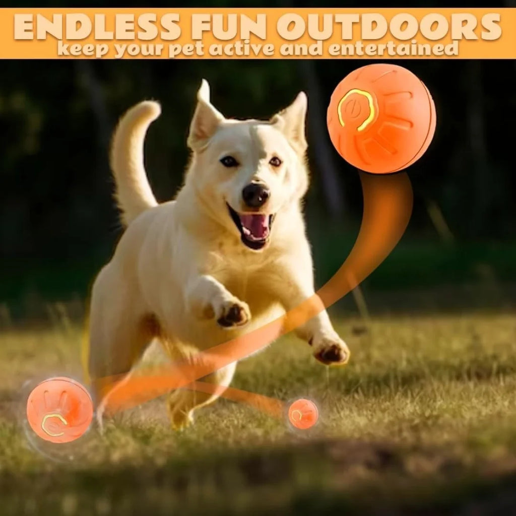 Gravity-Activated Smart Bouncing Ball for Pets