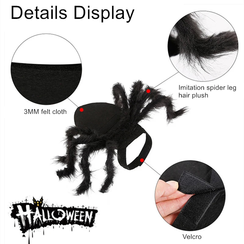 The Giant Creepy Spider - Funny Pet Cosplay Costume