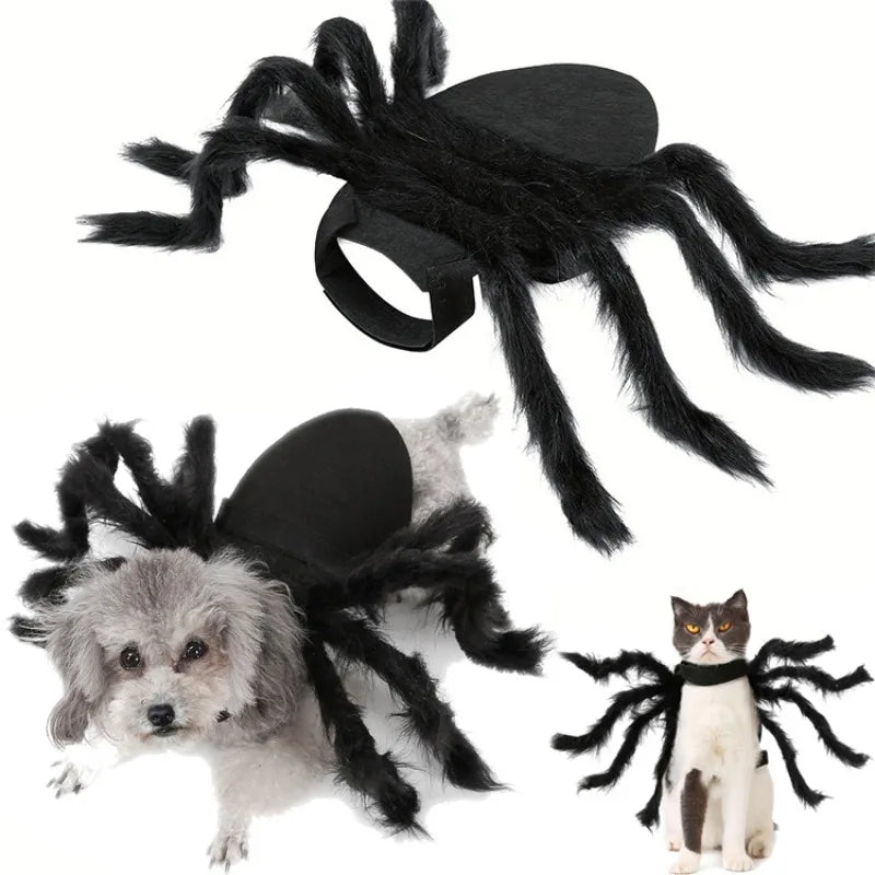 The Giant Creepy Spider - Funny Pet Cosplay Costume