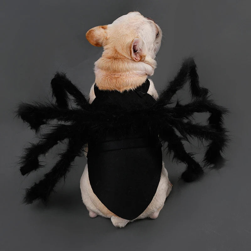 The Giant Creepy Spider - Funny Pet Cosplay Costume
