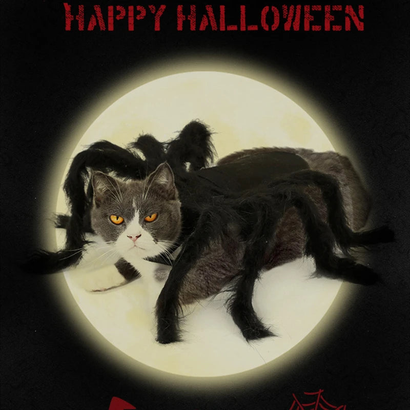 The Giant Creepy Spider - Funny Pet Cosplay Costume