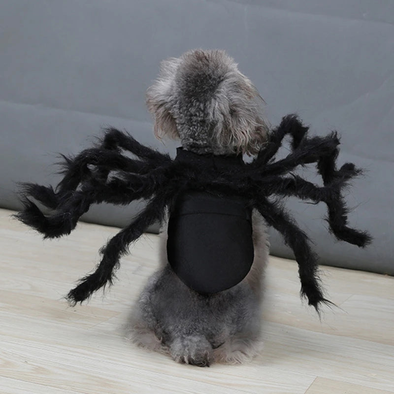 The Giant Creepy Spider - Funny Pet Cosplay Costume
