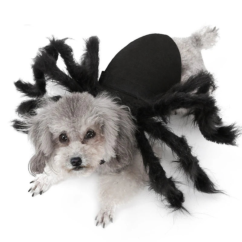 The Giant Creepy Spider - Funny Pet Cosplay Costume