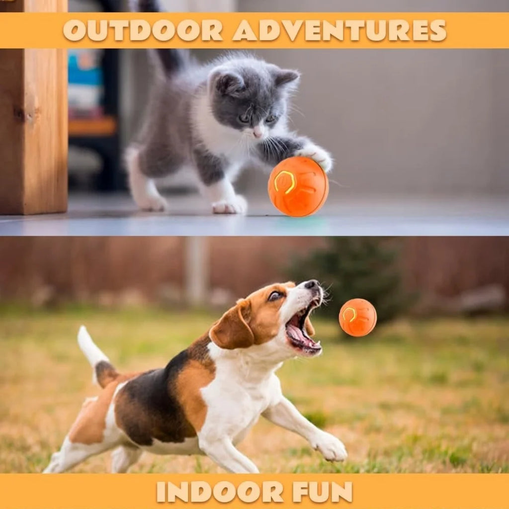 Gravity-Activated Smart Bouncing Ball for Pets