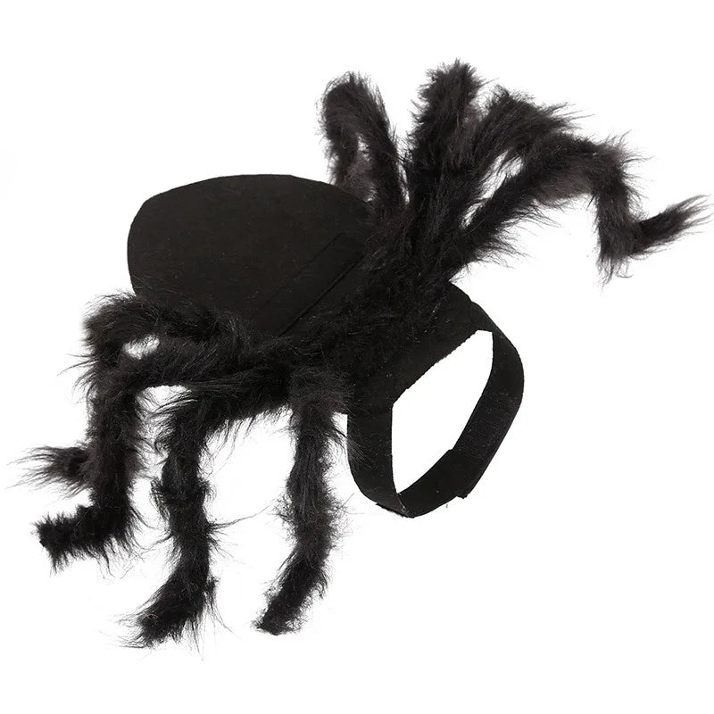 The Giant Creepy Spider - Funny Pet Cosplay Costume