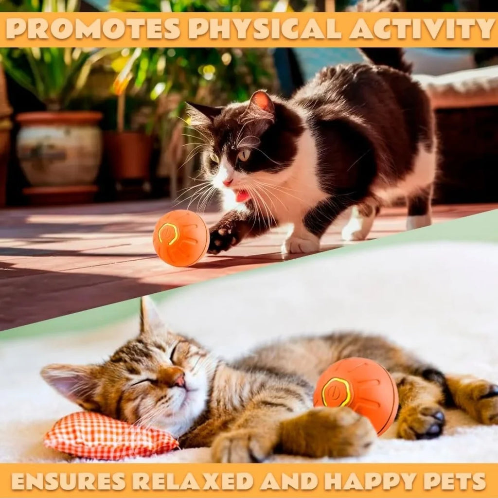 Gravity-Activated Smart Bouncing Ball for Pets