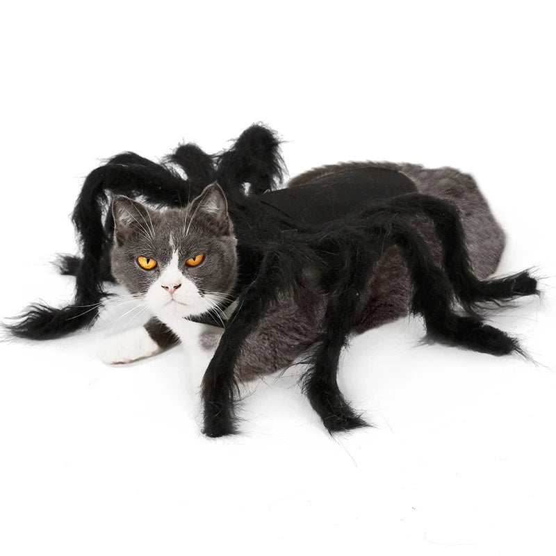 The Giant Creepy Spider - Funny Pet Cosplay Costume