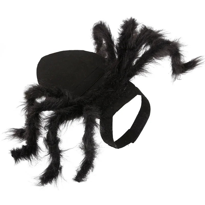 The Giant Creepy Spider - Funny Pet Cosplay Costume
