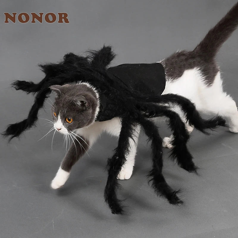 The Giant Creepy Spider - Funny Pet Cosplay Costume