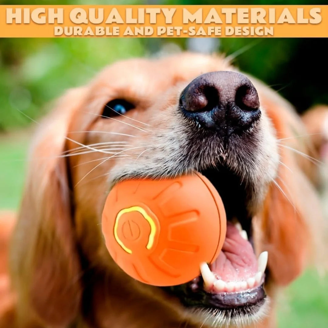 Gravity-Activated Smart Bouncing Ball for Pets