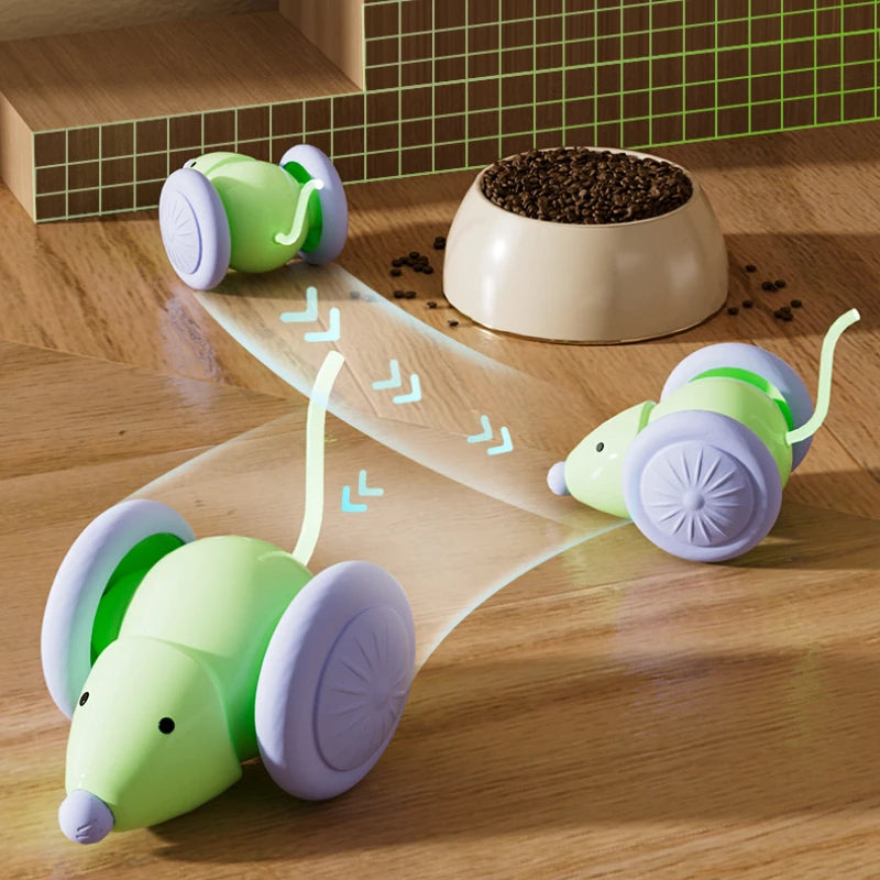 MouseCar - Intelligent Self-Driving Pet Teaser