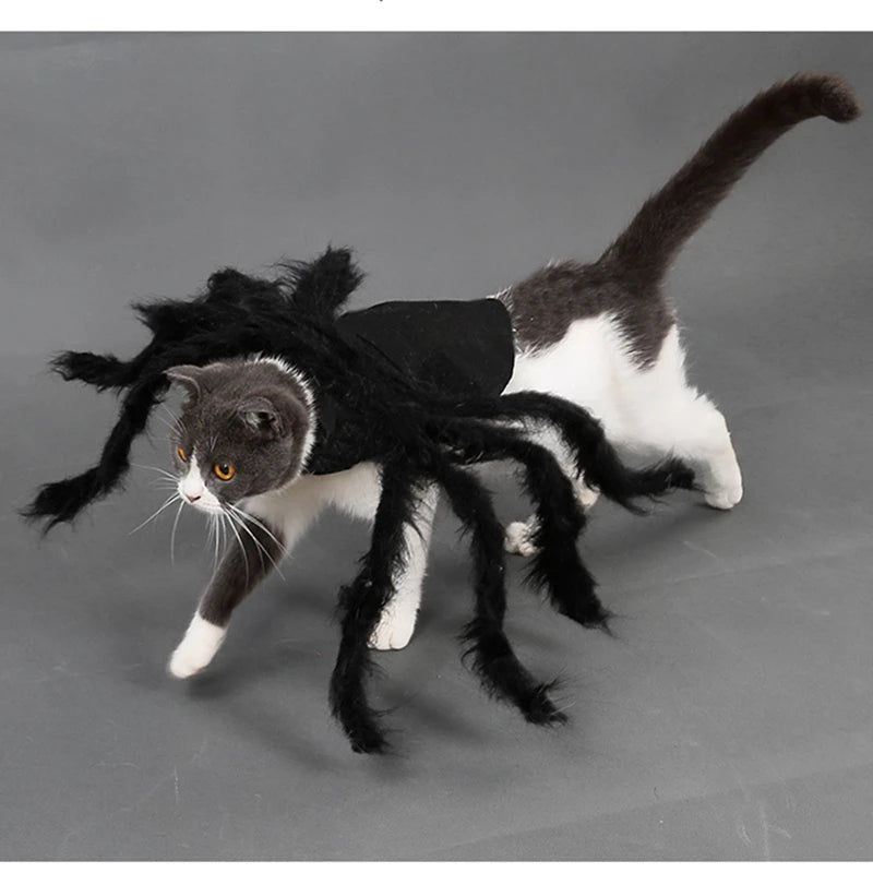 The Giant Creepy Spider - Funny Pet Cosplay Costume