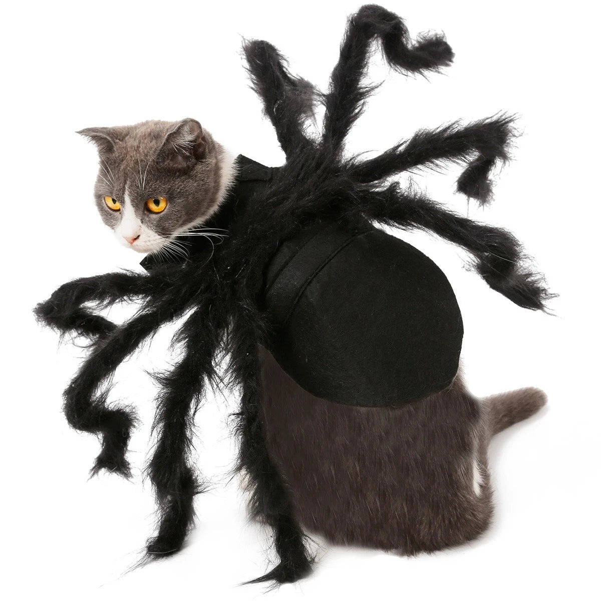The Giant Creepy Spider - Funny Pet Cosplay Costume
